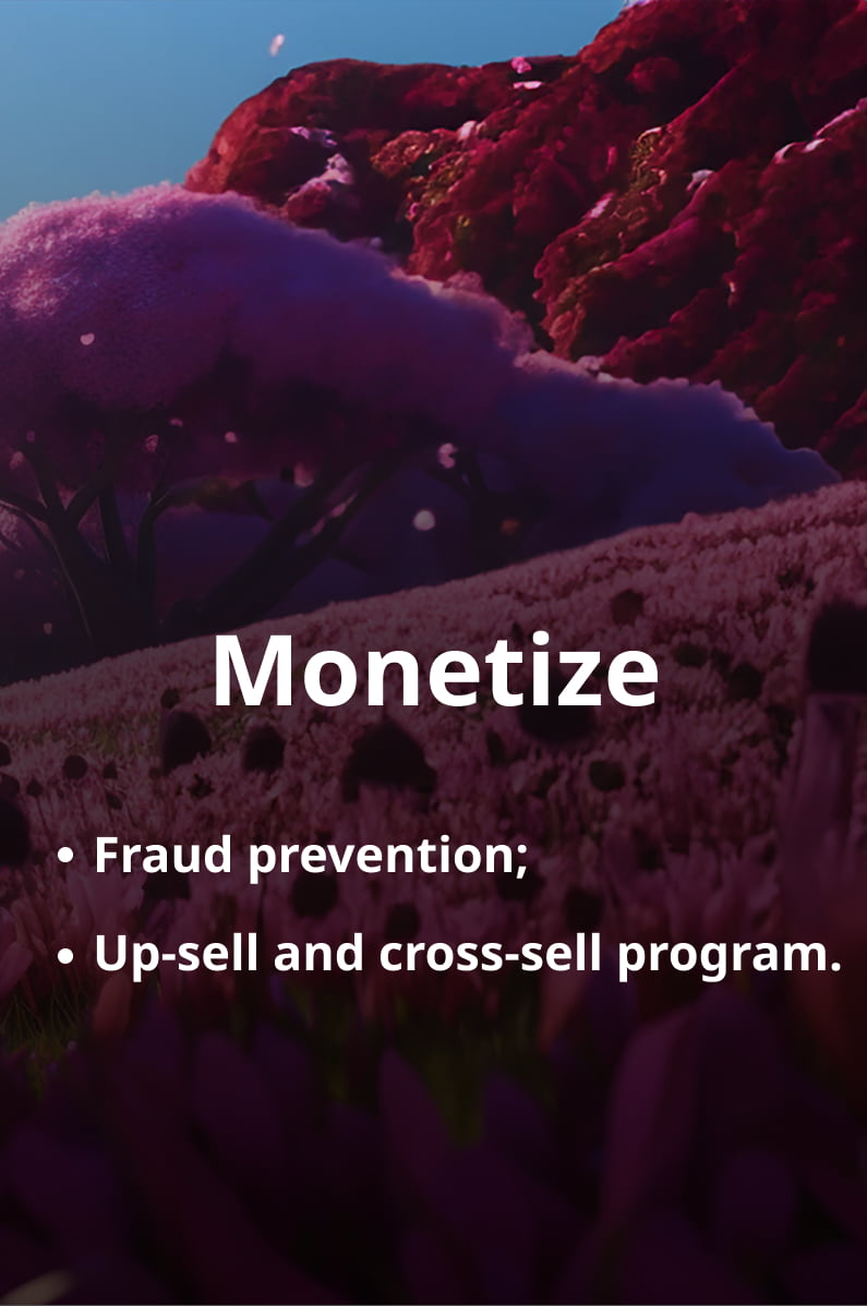 Monetize